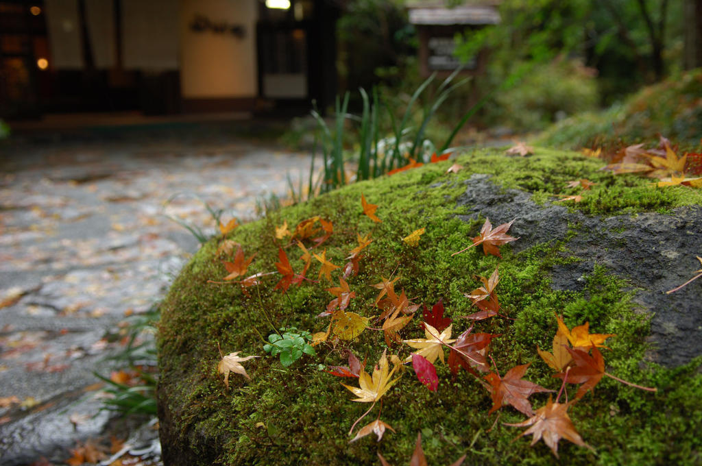 Hotel Yamamizuki Minamioguni Exterior foto
